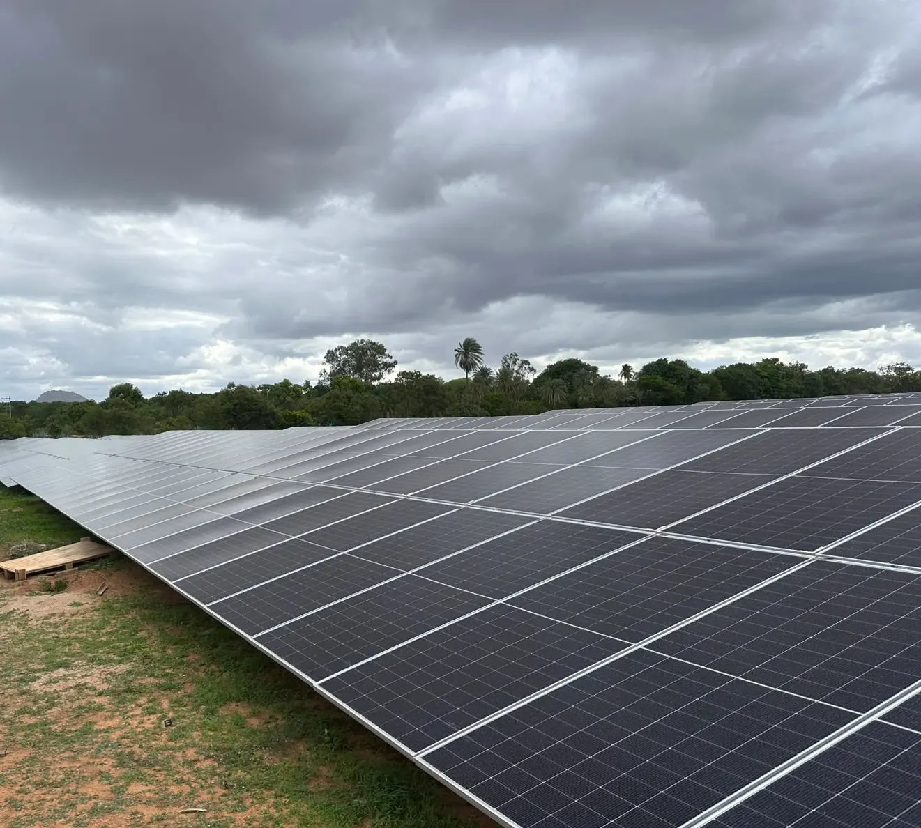 A long row of installed solar panels under an overcast sky at the Pavagada site